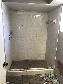 Shower Restoration (Before)